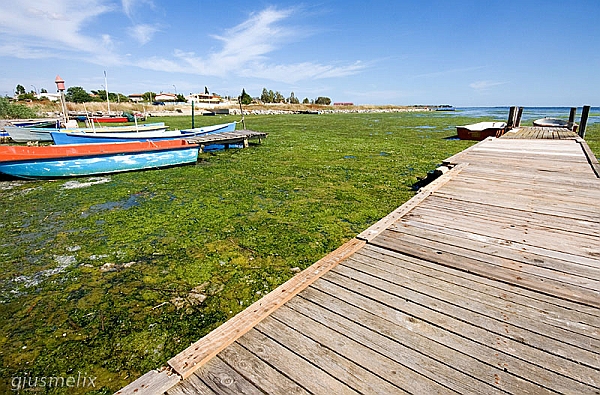 Elmas - Laguna  (40D_7371_1rid).jpg